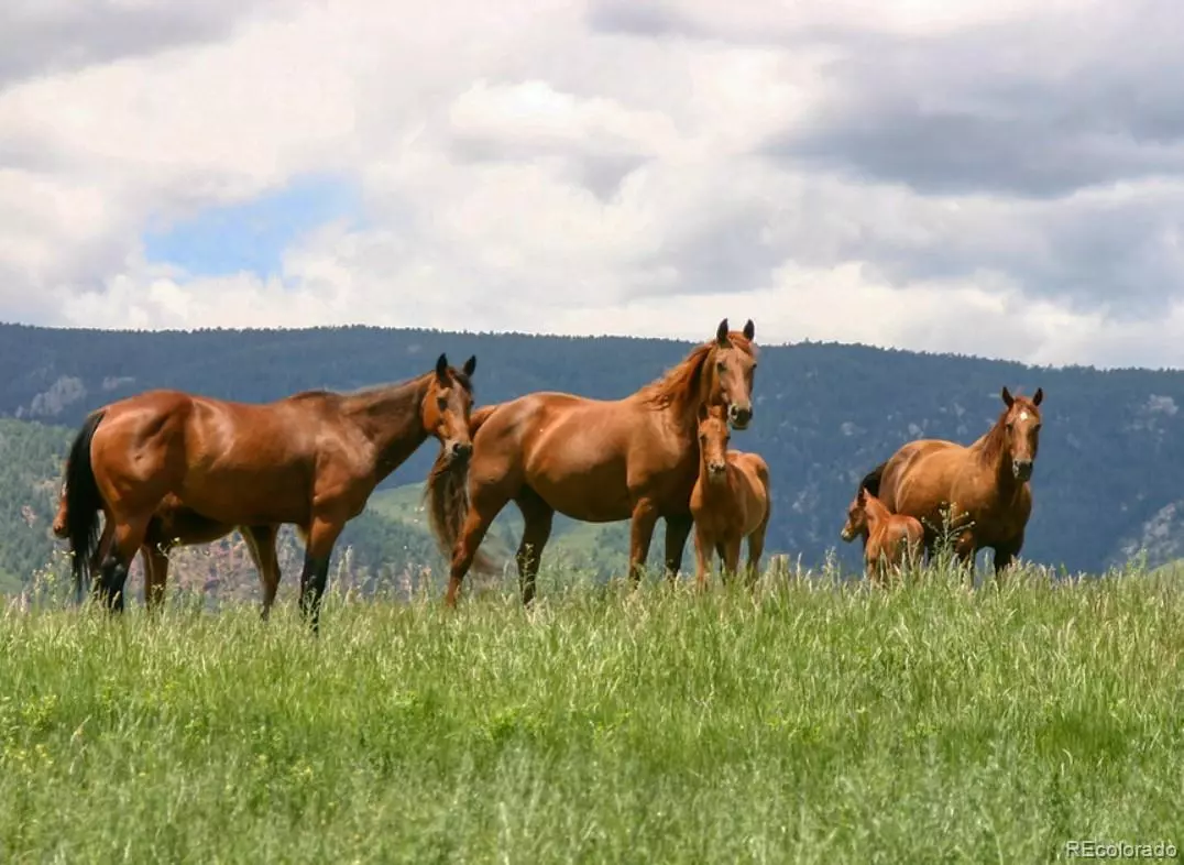 Sedalia, CO 80135,5447 Remuda Ranch Pkwy