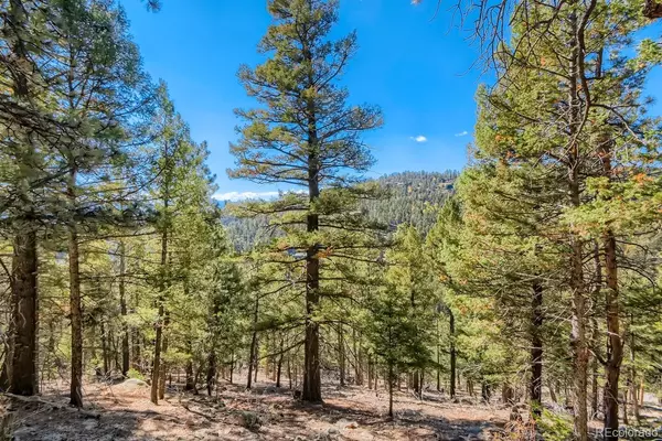 Conifer, CO 80433,Elsie RD