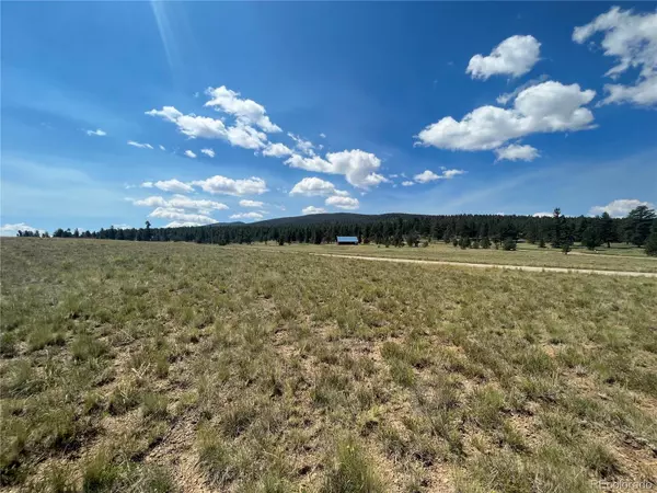 Buena Vista, CO 81211,544 Windmill DR