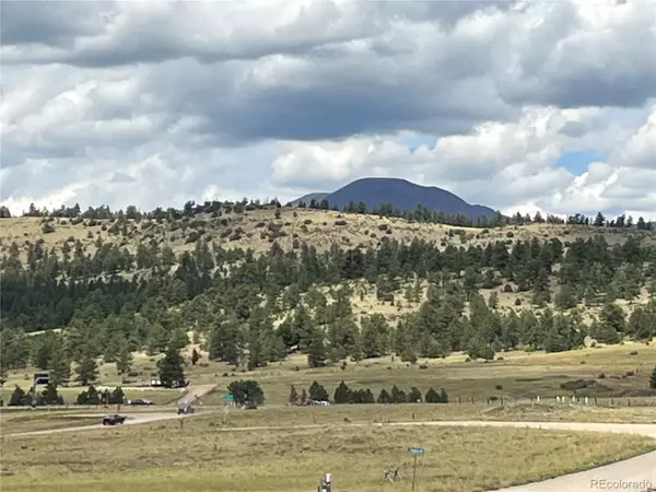 Buena Vista, CO 81211,544 Windmill DR