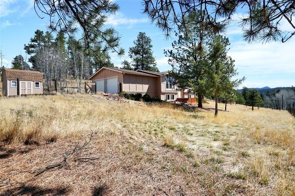 33511 Dotty RD, Pine, CO 80470