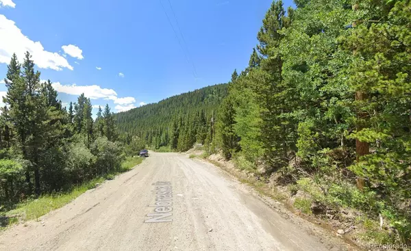Idaho Springs, CO 80452,123 Nebraska DR