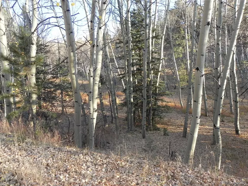 430 Pinon LN, Florissant, CO 80816