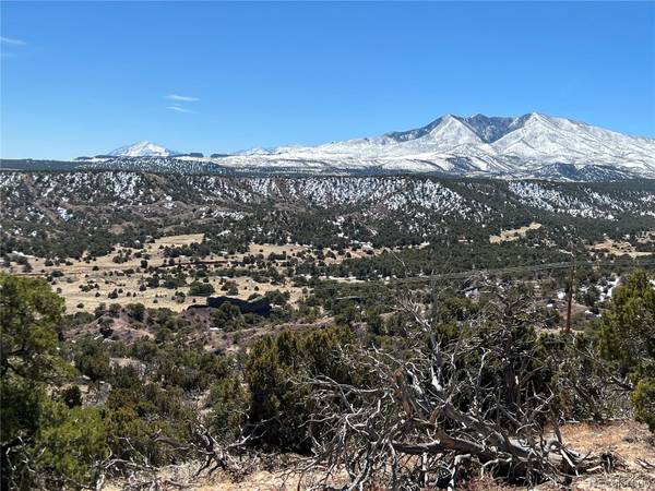 Lot 20 CL & G Ranch, Gardner, CO 81040