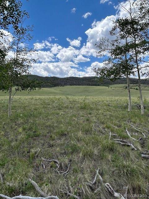 Hartsel, CO 80449,807 Bolster DR