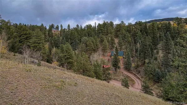 65 Portland DR, Cripple Creek, CO 80813