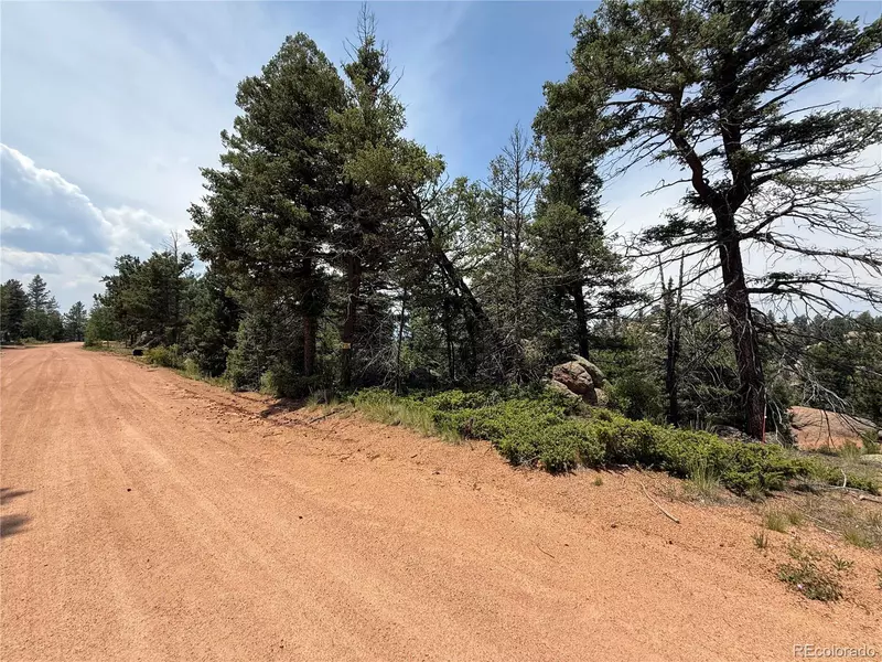 3546 N Mountain Estates RD, Florissant, CO 80816