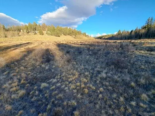 Como, CO 80432,00 Haida LN