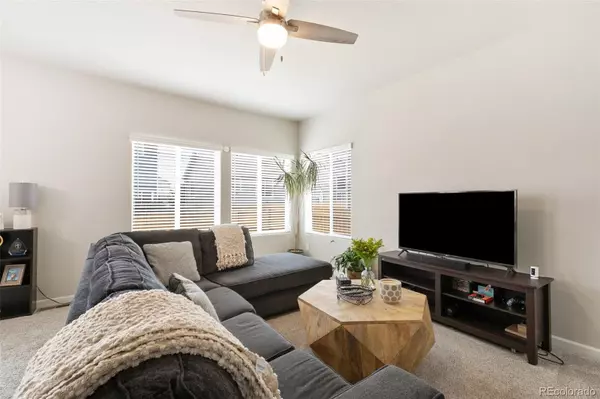 Colorado Springs, CO 80925,10416 Castor DR