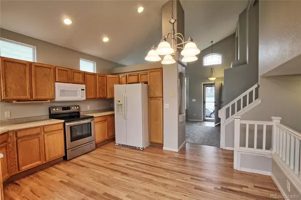 Parker, CO 80134,10774 Appaloosa CT
