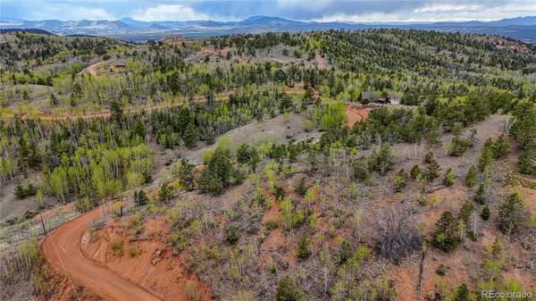 Cripple Creek, CO 80813,1693 Golden Cycle CIR