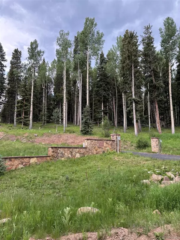 Conifer, CO 80433,28651 Belle Point DR