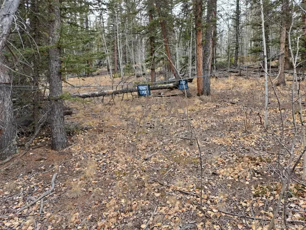 Como, CO 80432,210 Tepee TRL