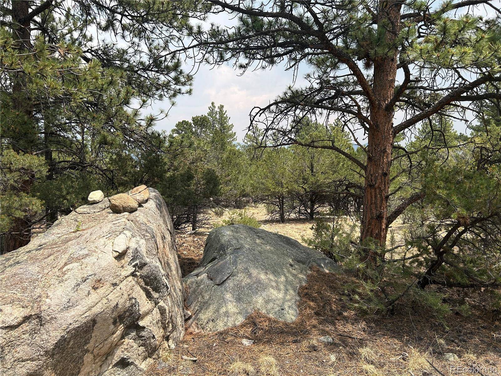 30160 Princeton CIR, Buena Vista, CO 81211