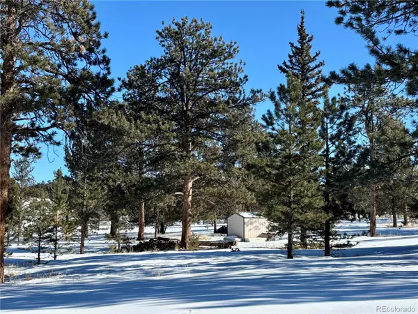 Buena Vista, CO 81211,0 Singletree RD