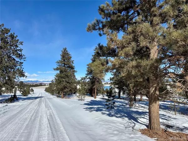 0 Singletree RD, Buena Vista, CO 81211