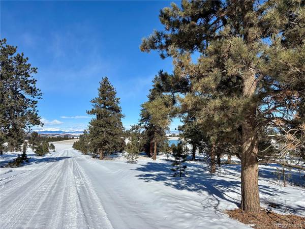 0 Singletree RD, Buena Vista, CO 81211