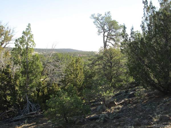 Walsenburg, CO 81089,Lot 344 Rio Cucharas Phase #2