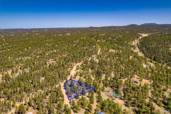 698 Pinewood RD, Florissant, CO 80816