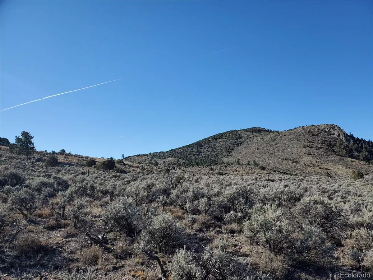 Fort Garland, CO 81133,Lot 4601 Miller RD