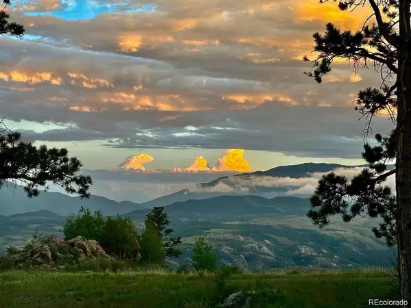 Pine, CO 80470,14884 Wetterhorn Peak TRL