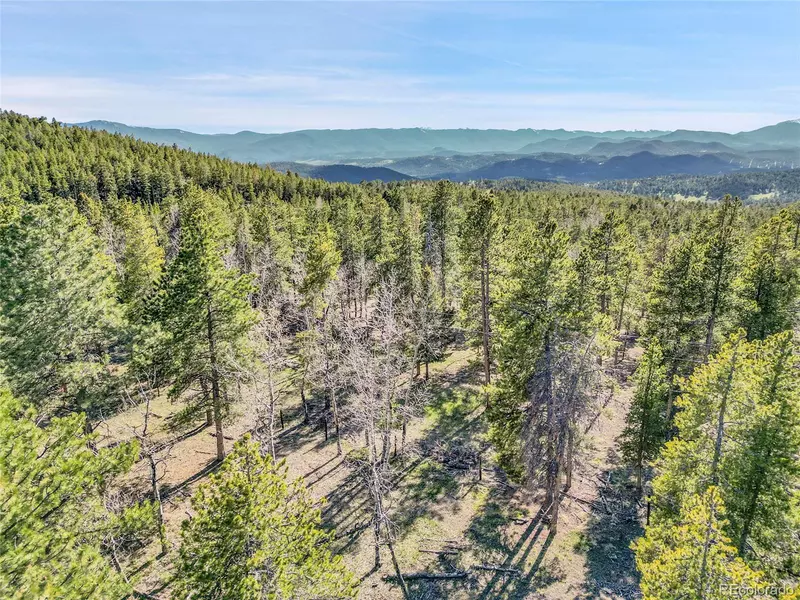 Molly Dr, Lot #3, Conifer, CO 80433