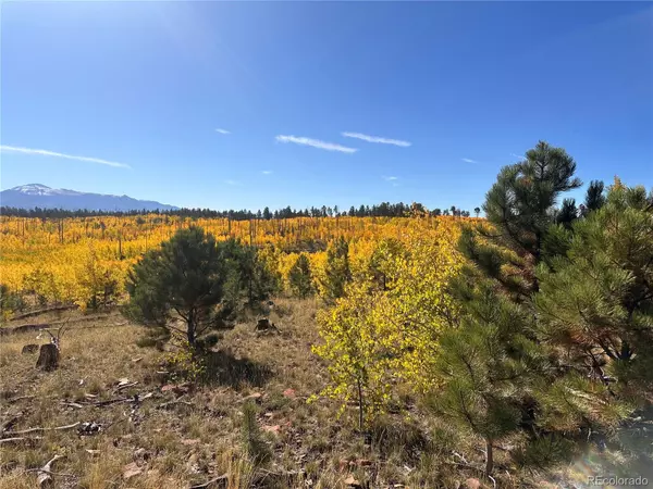 Florissant, CO 80816,Lot 2 County Road 51