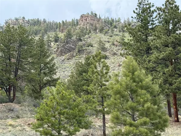 202 County RD, Lake George, CO 80827