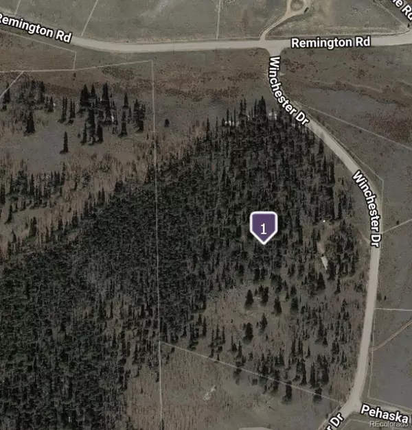 Como, CO 80432,1245 Winchester DR