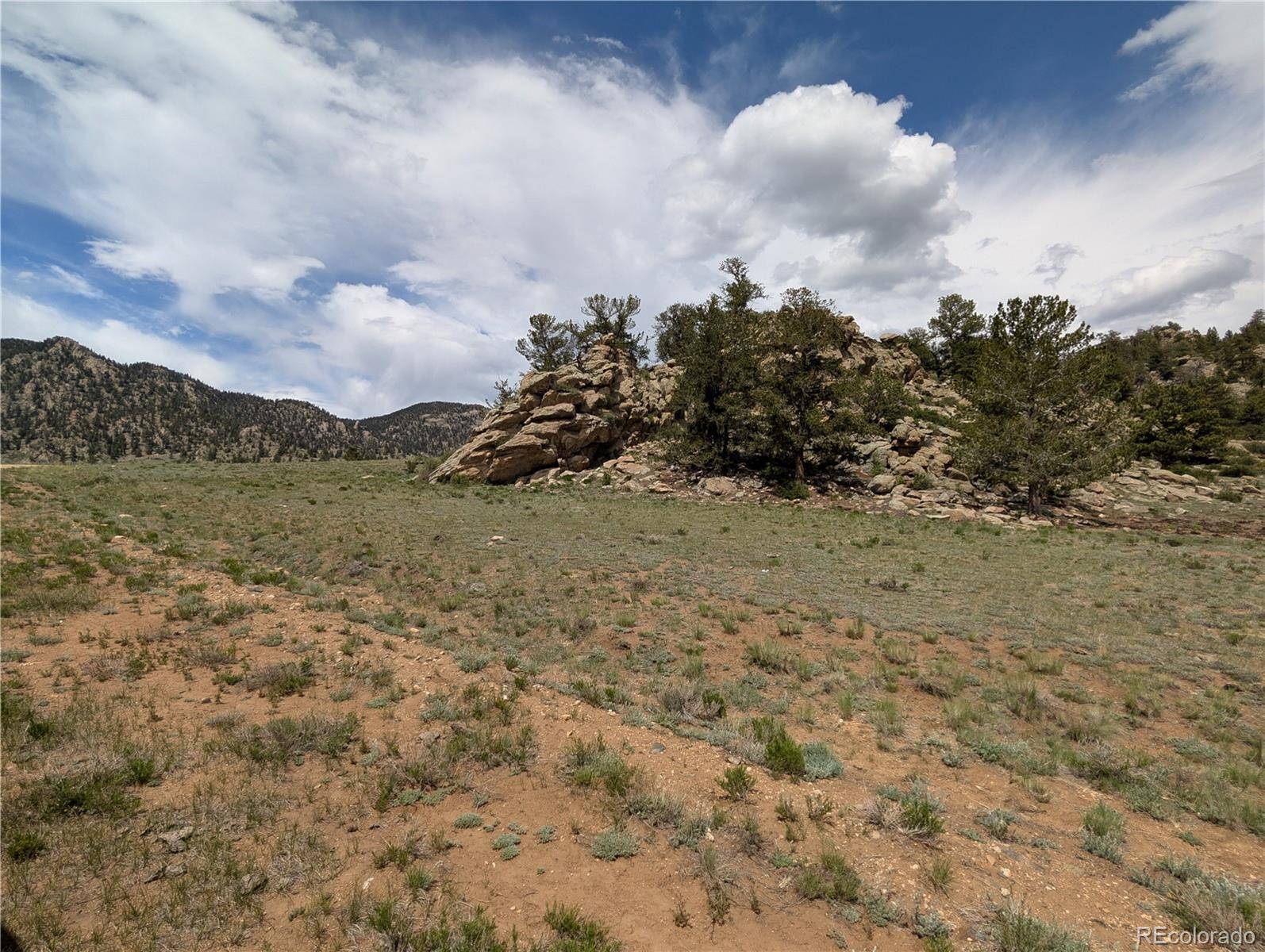 Lake George, CO 80449,372 Grand LN