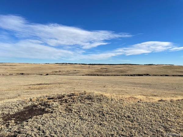 Calhan, CO 80808,00012 County Road 77