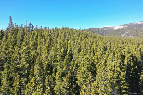 Lot 935 Silver Creek RD, Idaho Springs, CO 80452