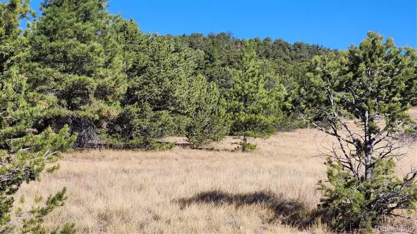 Cotopaxi, CO 81223,1238 17th TRL