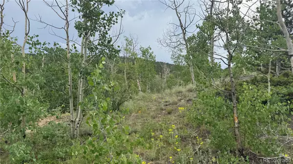 Central City, CO 80427,007 Virginia Canyon RD