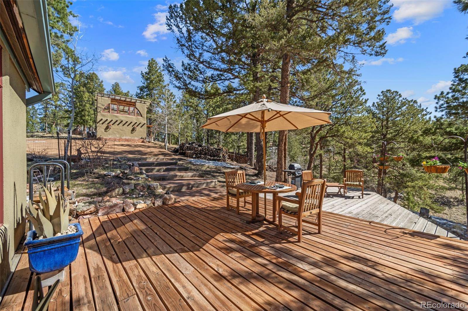 Divide, CO 80814,174 Needle Creek RD