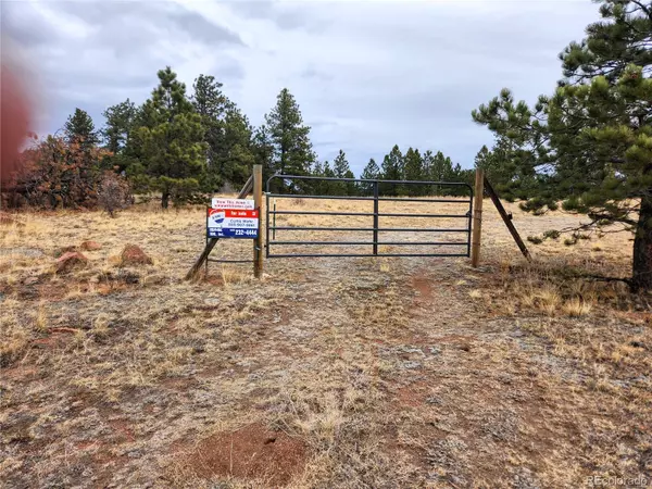 Guffey, CO 80820,000 Twinkle RD