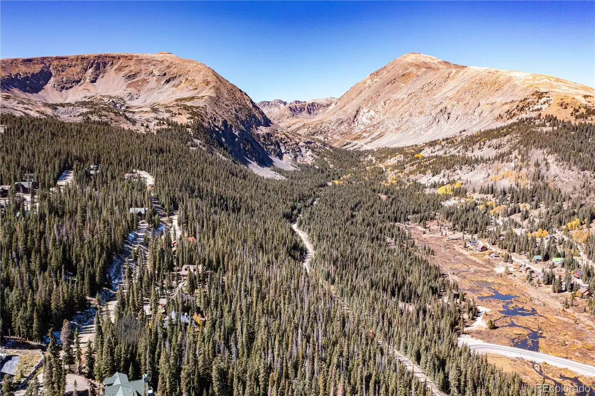 Breckenridge, CO 80424,160 Quandary RD