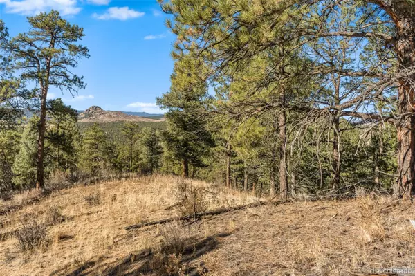 Pine, CO 80470,County Road 126