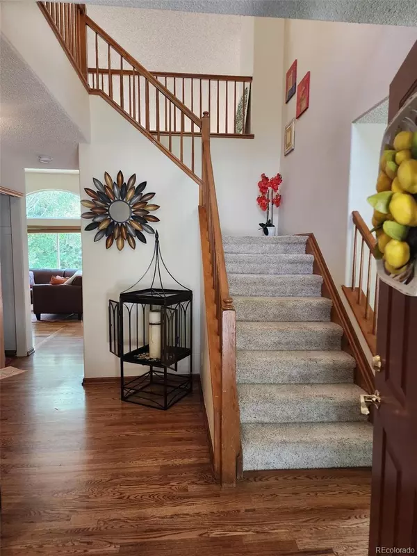 Castle Rock, CO 80104,596 S Lindsey ST