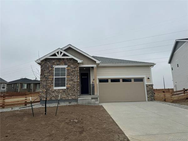 944 Alpine Ridge ST, Erie, CO 80516