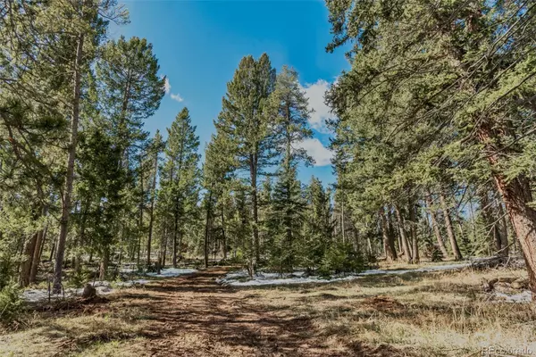 Conifer, CO 80433,27687 Pine Grove TRL