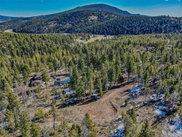 Conifer, CO 80433,27687 Pine Grove TRL