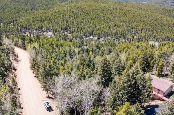 Conifer, CO 80433,8793 Martin LN