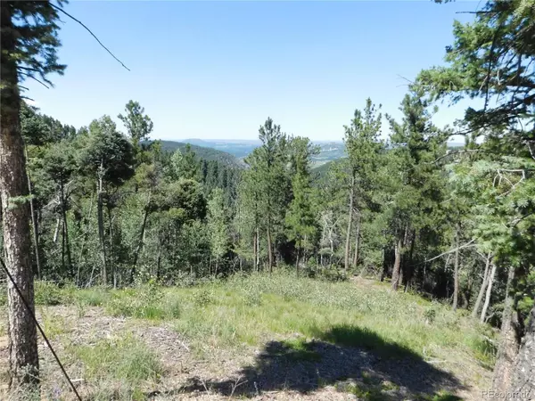 Larkspur, CO 80118,13670 Spruce Creek CIR