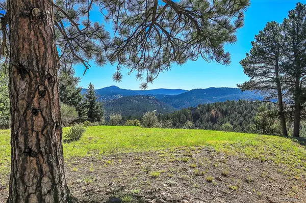 Pine, CO 80470,32555 Meadow Ridge LN