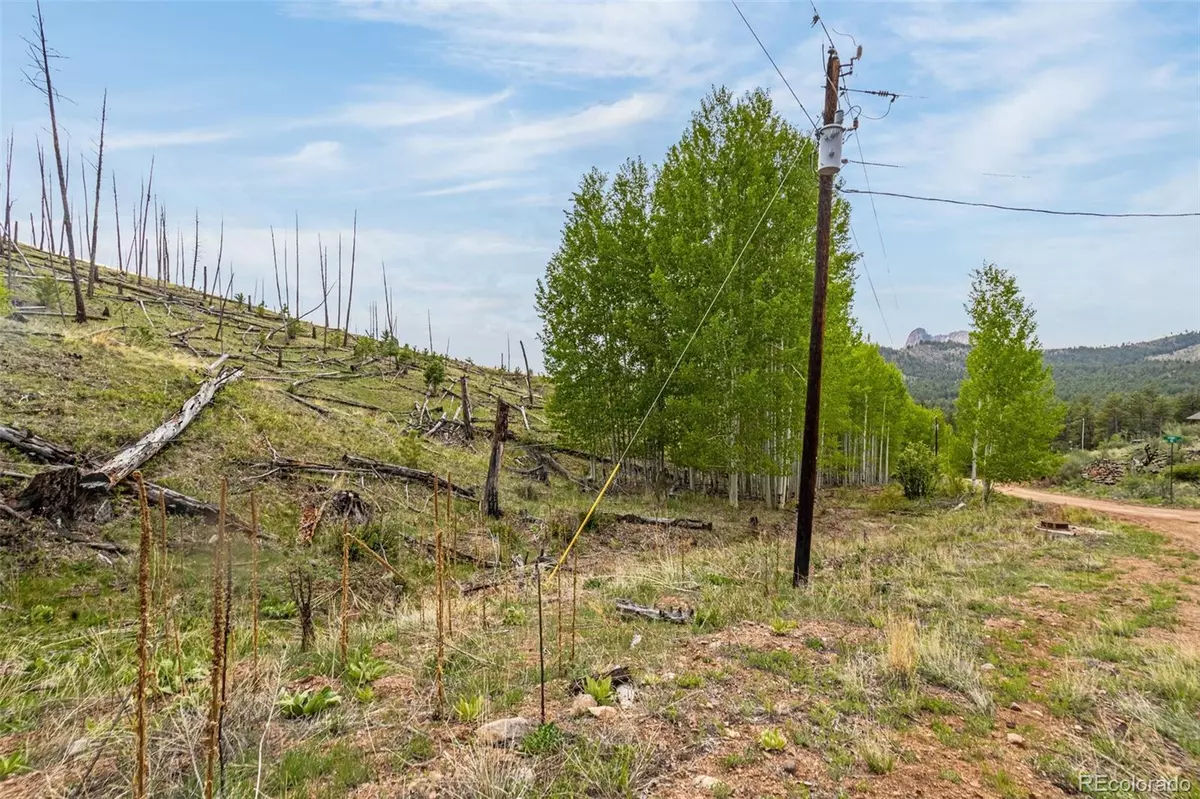 Woodland Park, CO 80863,L1 B4 Columbine CIR