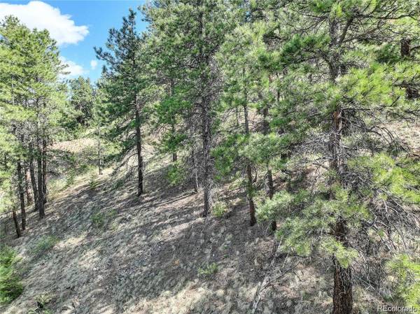 Conifer, CO 80433,27292 Ridge TRL