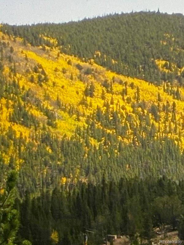 Idaho Springs, CO 80452,LOT 876, UNIT 5