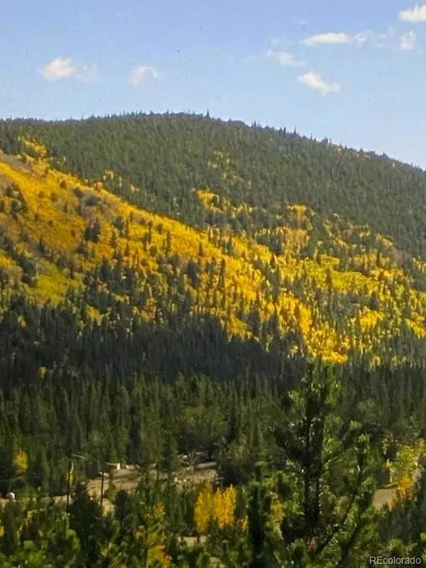 Idaho Springs, CO 80452,LOT 876, UNIT 5