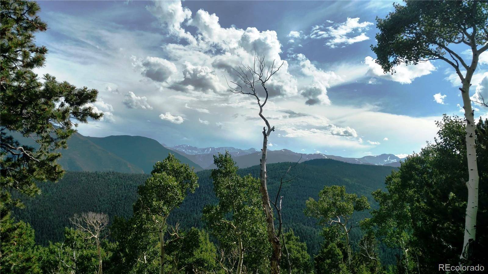 Dumont, CO 80436,Wild Wagoner Trail